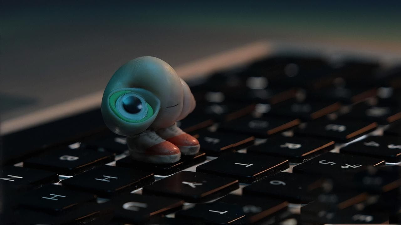 Deniz Kabuğu Marcel