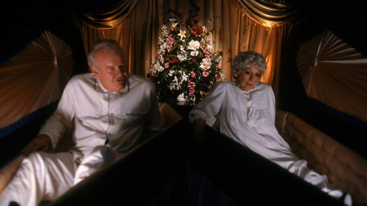 Lanetli Eve Dönüş