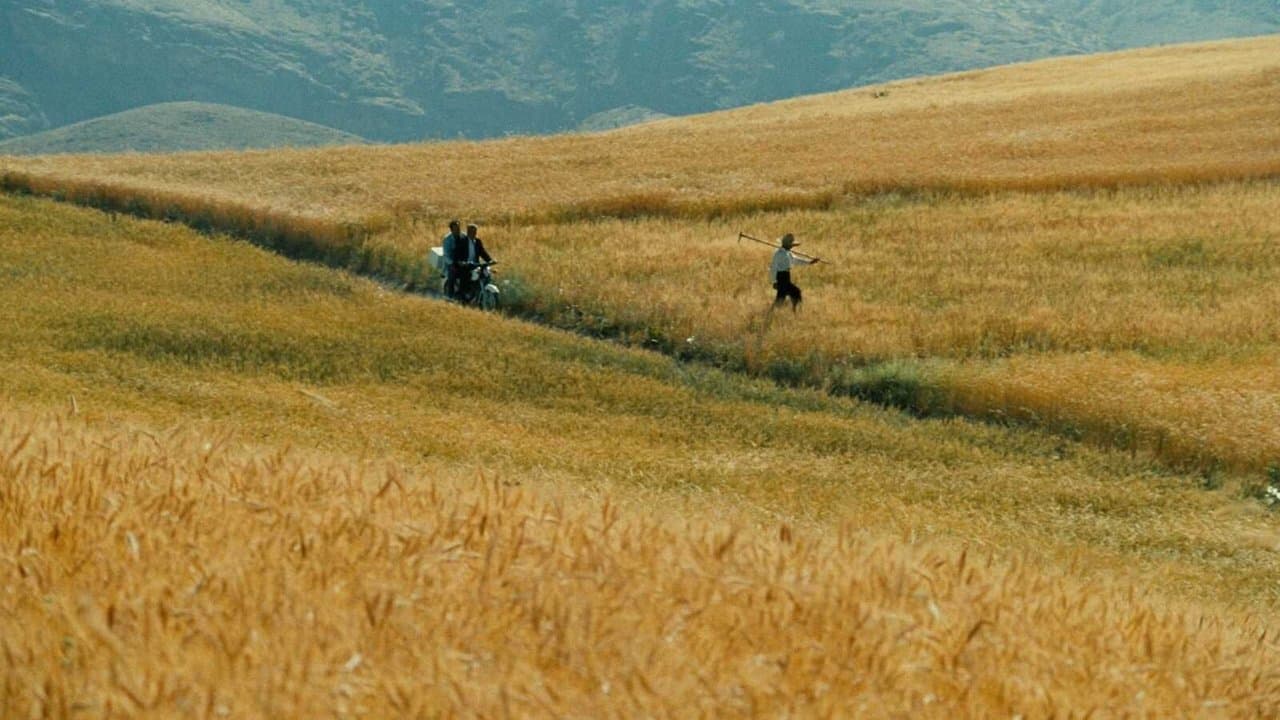 Rüzgar Bizi Sürükleyecek