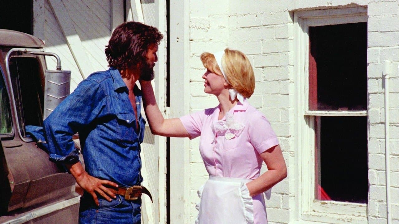 Alice Artık Burada Oturmuyor