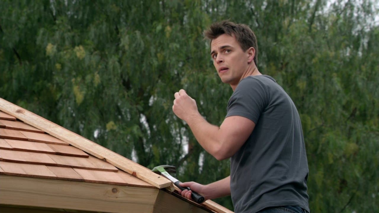 Yedi Yıllık Aksaklık