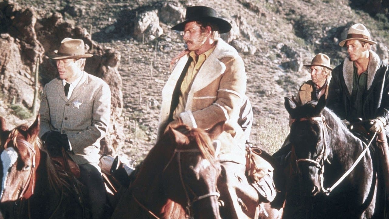 Seni Gömmeye Geldim