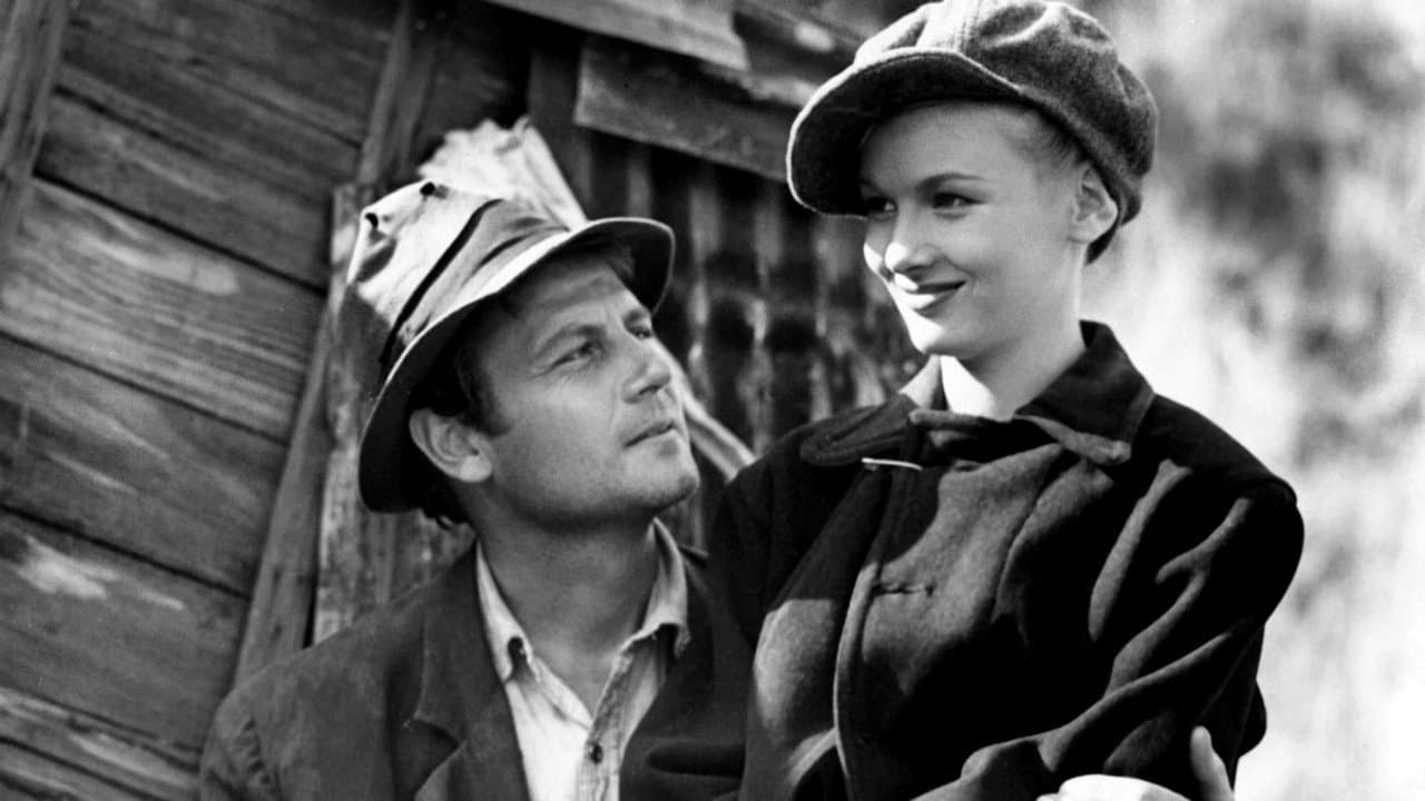 Sullivan'ın Öyküsü