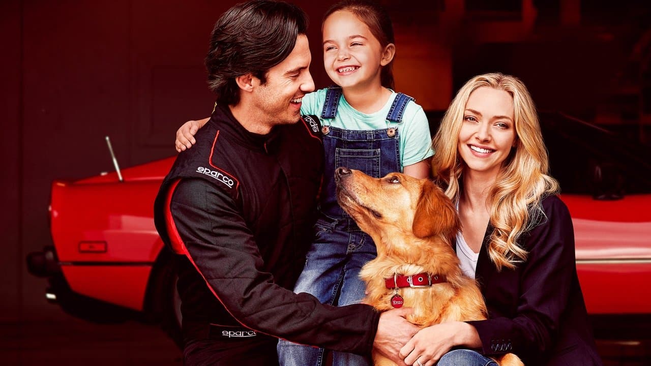 Enzo: Yağmurda Yarış Sanatı