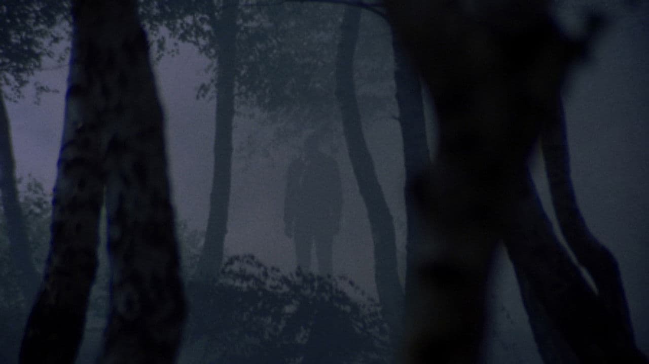 I corpi presentano tracce di violenza carnale