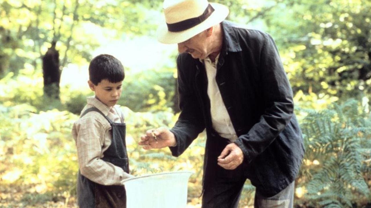 Kovana Uzanan Kelebeğin Dili