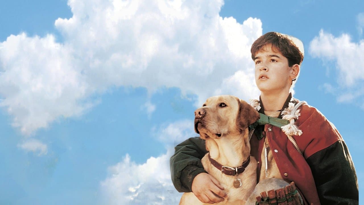 Evden Uzakta: Sarı Köpeğin Maceraları