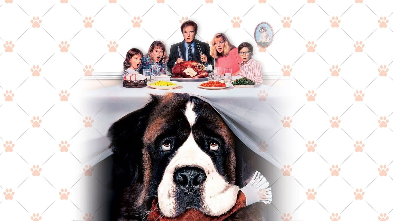 Afacan Köpek Beethoven