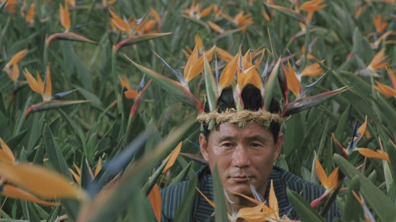 ３－４Ｘ１０月