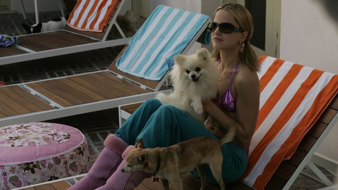 Köpeğin Derdi Beni Gerdi