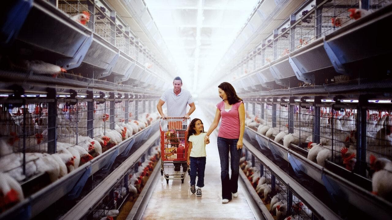 Yemeğimizi Zehir Eden Kirli Gerçekler