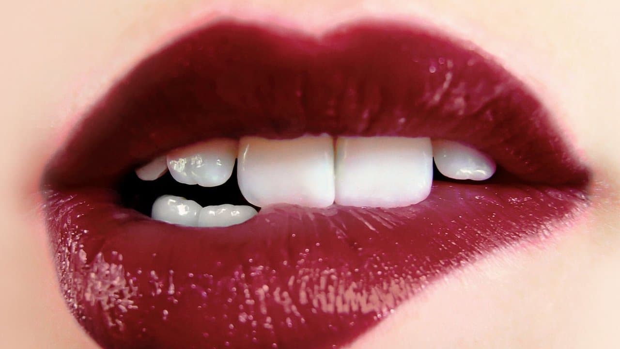 Orgasm Inc.: OneTaste'in Hikâyesi