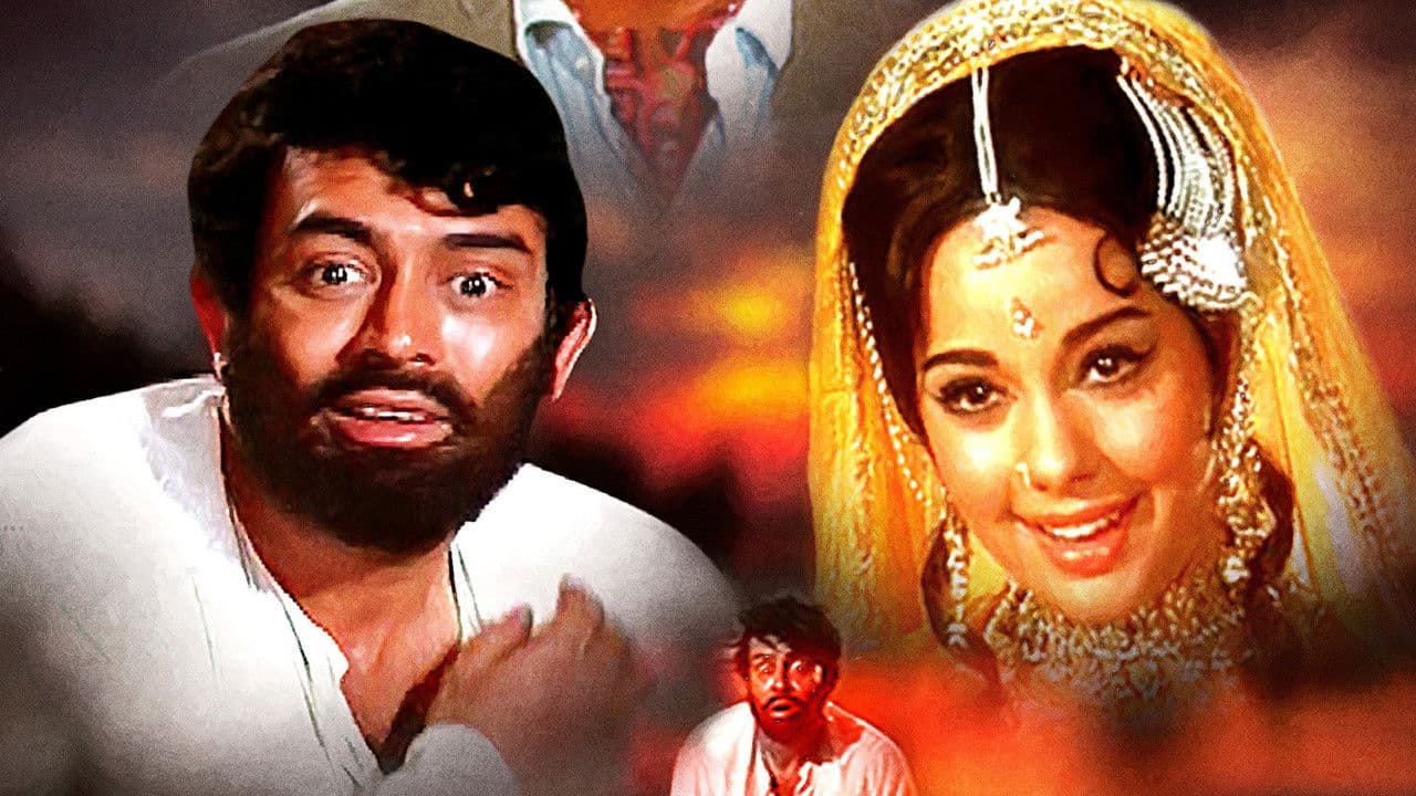 Sen Geldin Bahar Geldi