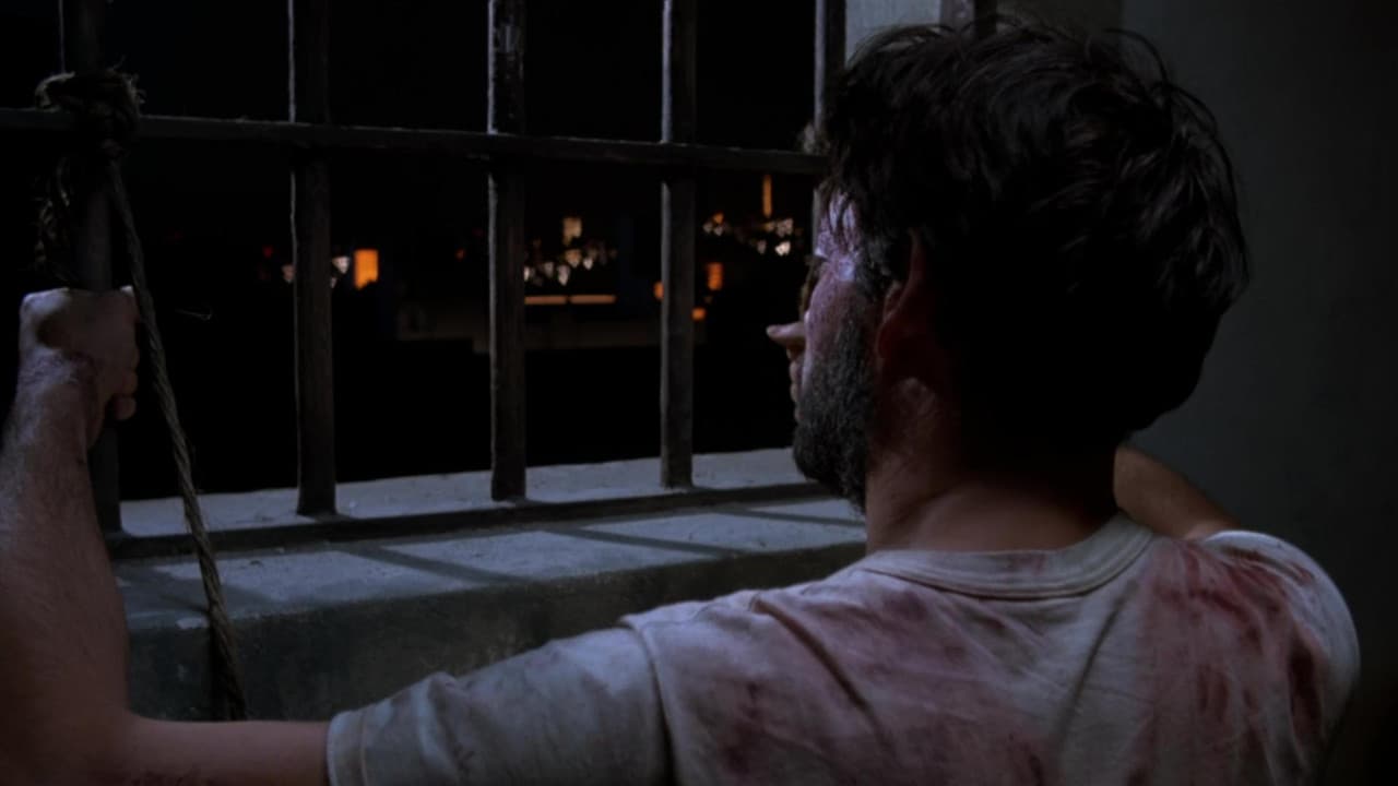 Örümcek Kadının Öpücüğü