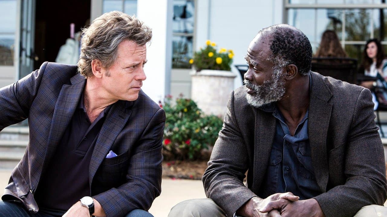 Aynı Benim Gibi Değişik