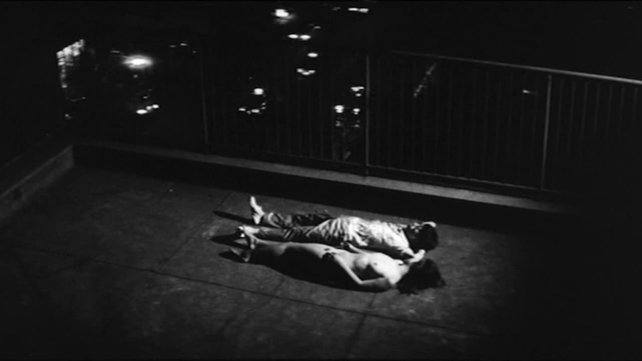 ゆけゆけ二度目の処女