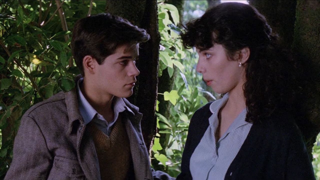 El año de las luces