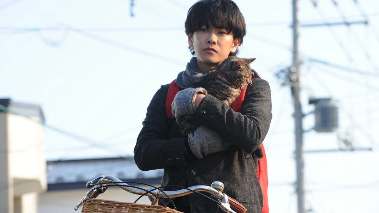 Kediler Dünyadan Kaybolurlarsa