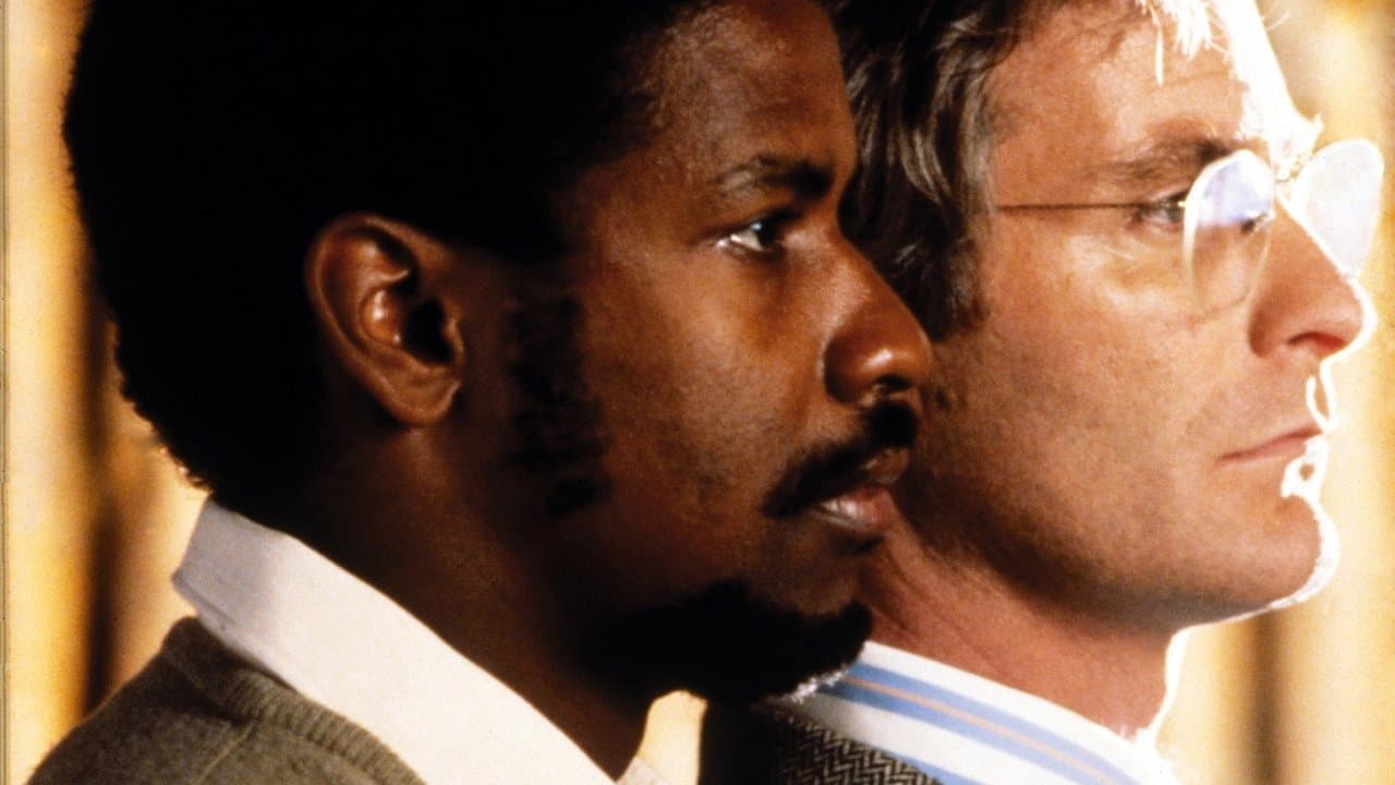 Özgürlük Çığlığı