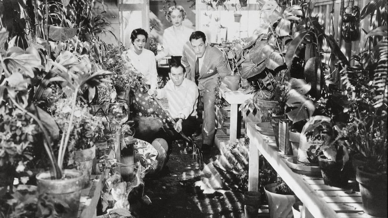 Merihten Saldıranlar