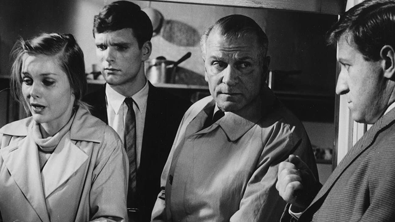 Küçük Kız Kayboldu