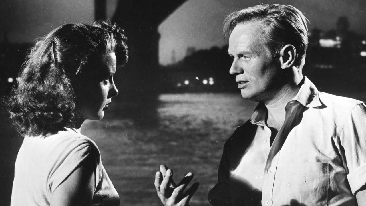 Kuzey Caddesindeki Pikap