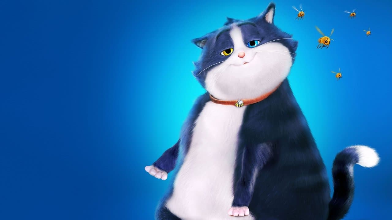 Meraklı Kedinin 10 Yaşamı