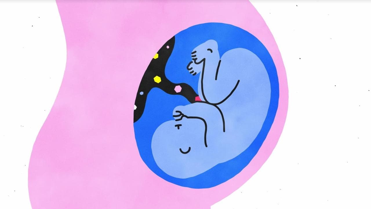 Seks, Açıklıyoruz