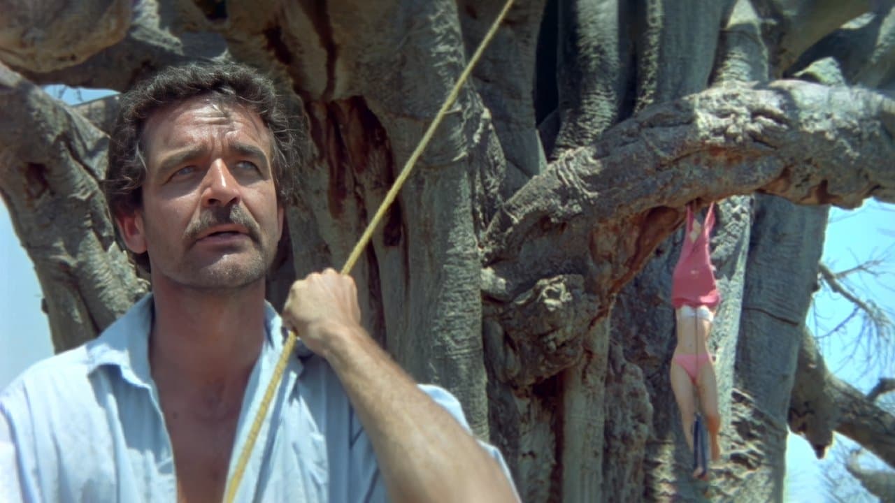 Tanrılar Çıldırmış Olmalı 2