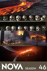 Sezon 46