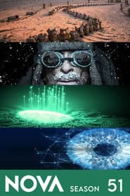 Sezon 51