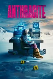 Tarikatın Sırları