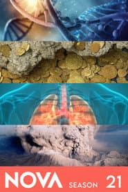 Sezon 21
