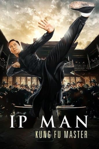 Ip Man: Kung Fu Ustası