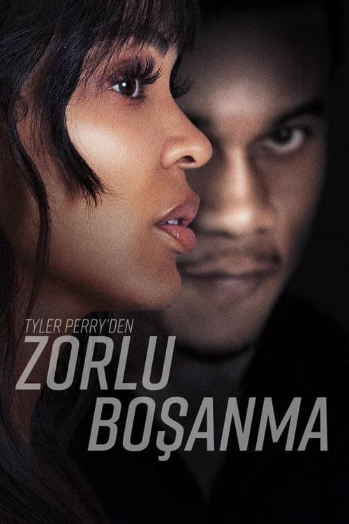 Tyler Perry'den Zorlu Boşanma