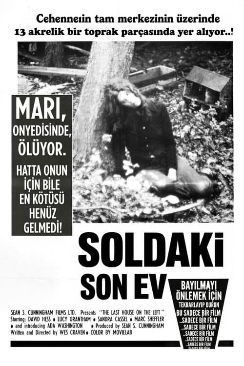 Soldaki Son Ev