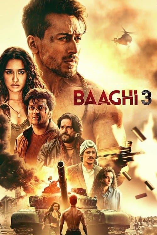 Isyancı 3 / Baaghi 3