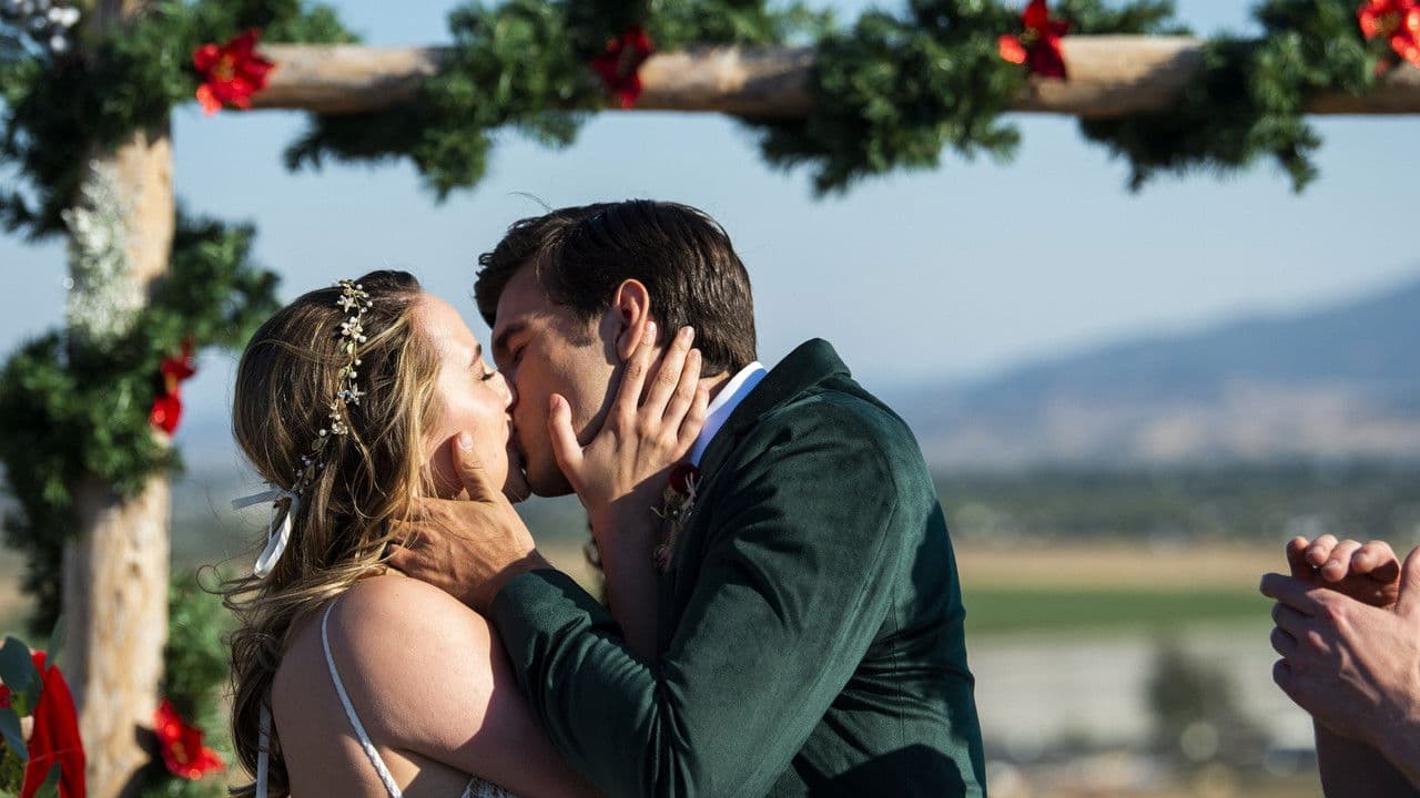 Kaliforniya'da Noel: Şehir Işıkları