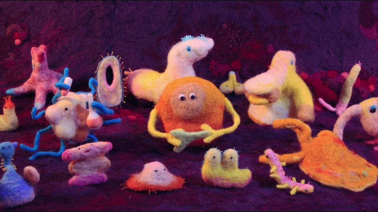 Sağlığınızın Kontrolü Sizde: Bağırsaklarınızda Saklı Sırlar