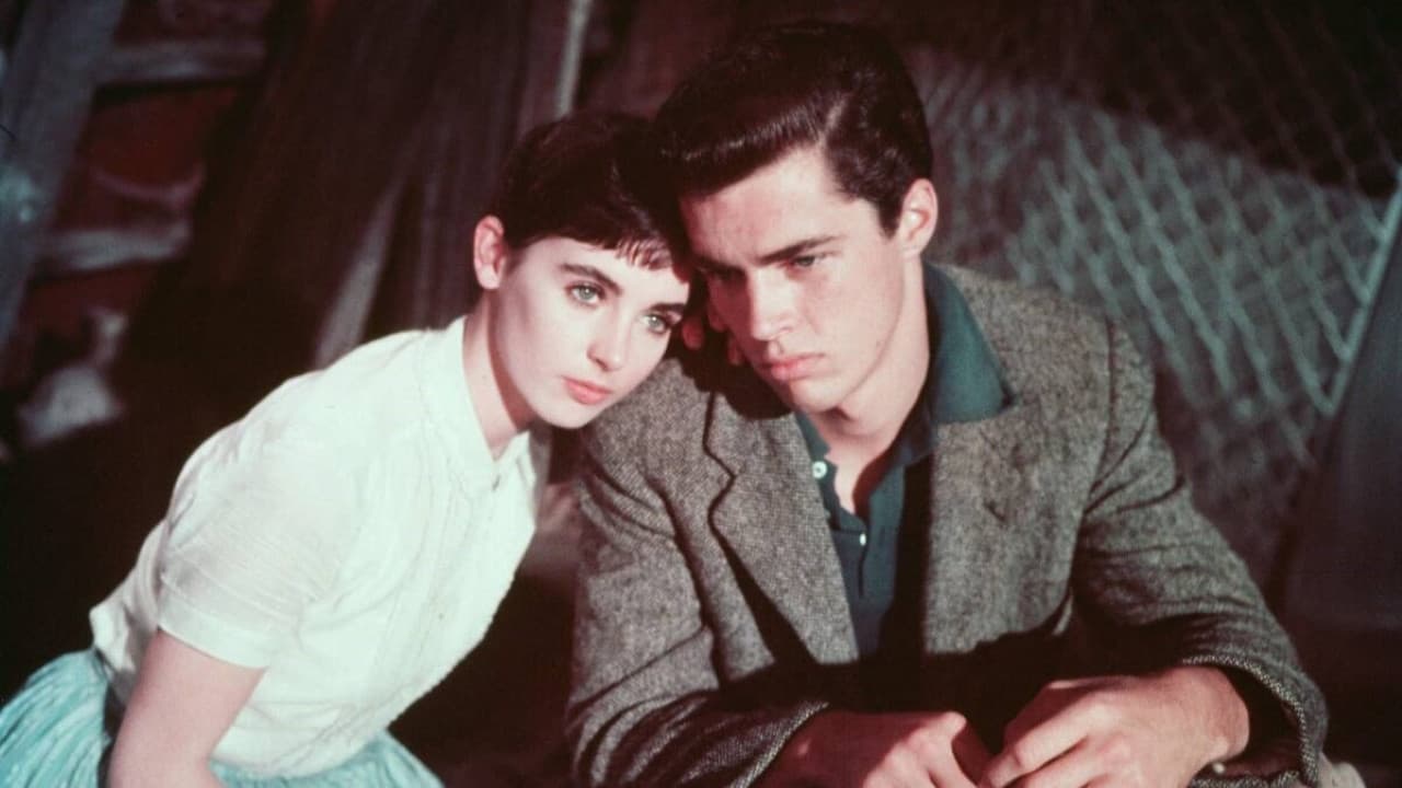 Anne Frank'in Hatıra Defteri