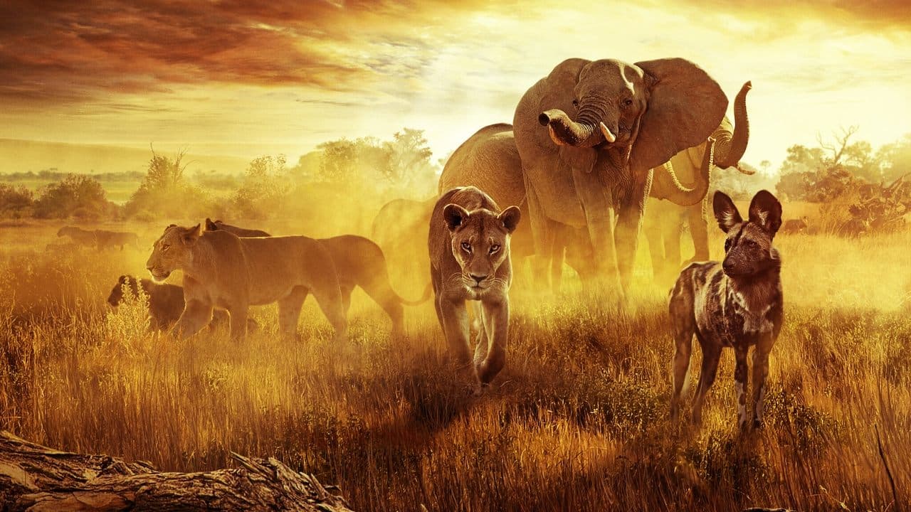 Cennette Yaşam Savaşı: Bir Aile Masalı