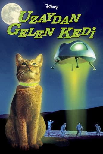 Uzaydan Gelen Kedi