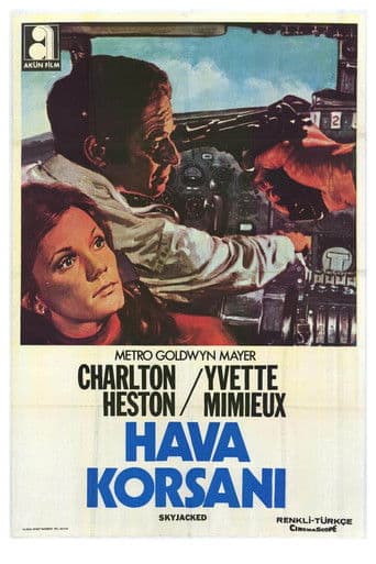 Hava Korsanı